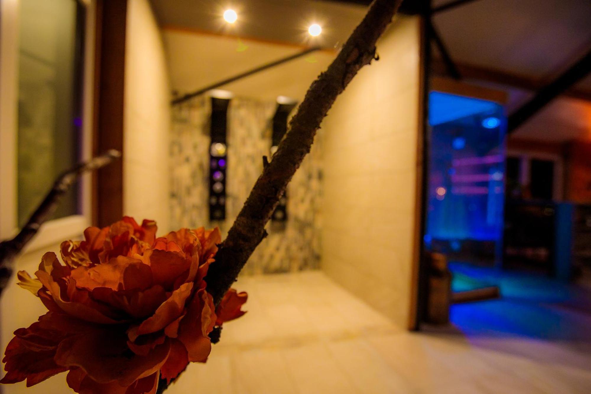 B&B En Wellness De Waalhoeve Angerlo 외부 사진